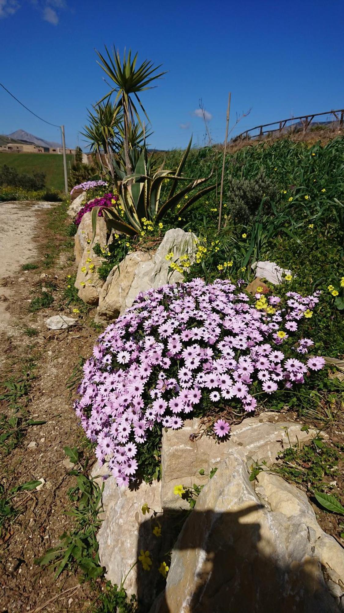Helimos Bed&Breakfast Segesta Temple-Castellammare Calatafimi Eksteriør bilde